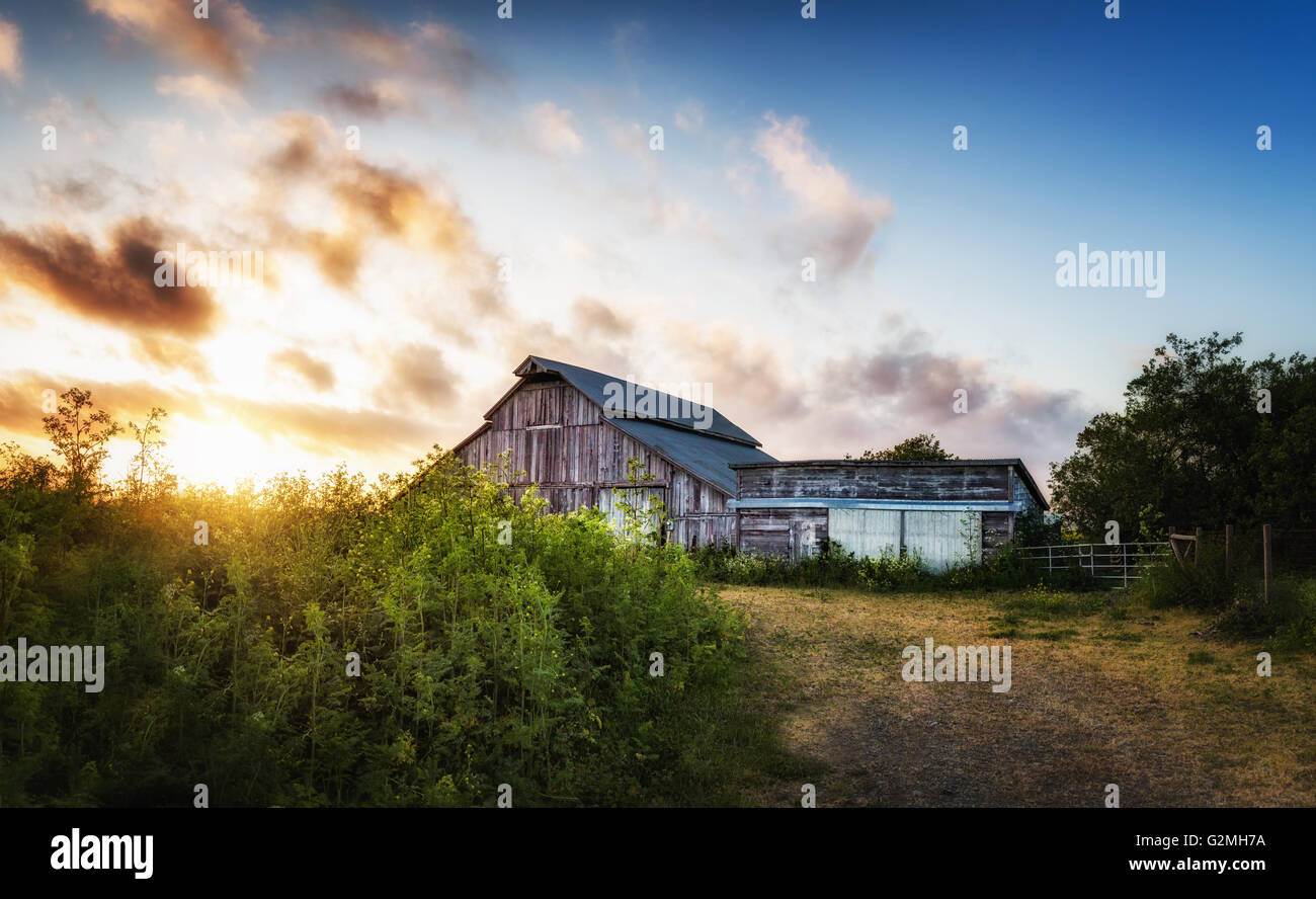 Old Barn at Sunset, Panoramic Color Image Stock Photo