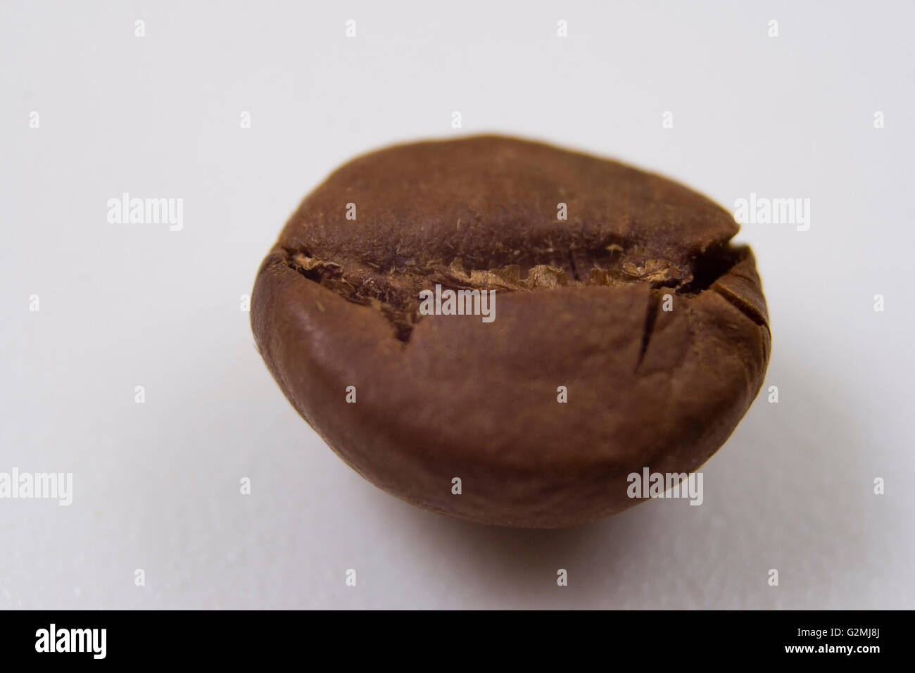macro of a roasted brown coffee bean on white background Stock Photo ...