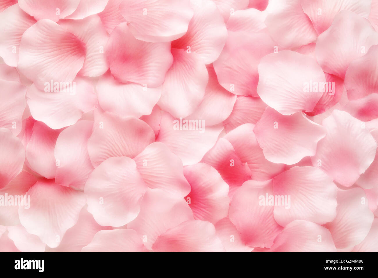 Beautiful delicate pink rose petal background texture Stock Photo
