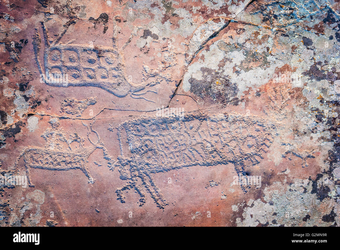 prehistoric drawing on an old spotted stone Stock Photo Alamy