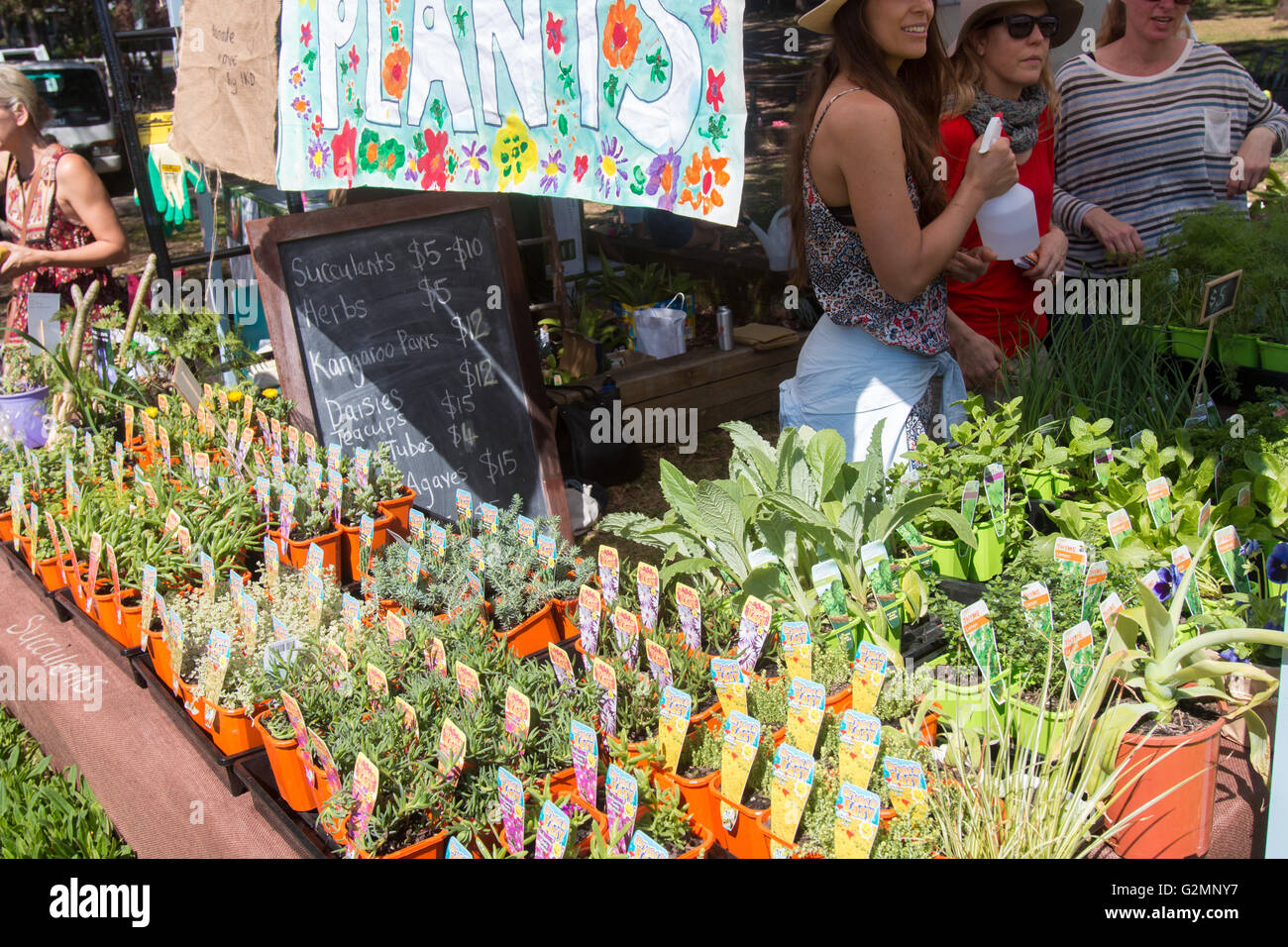 Plants in pots for sale at an australian school fete and fundraiser