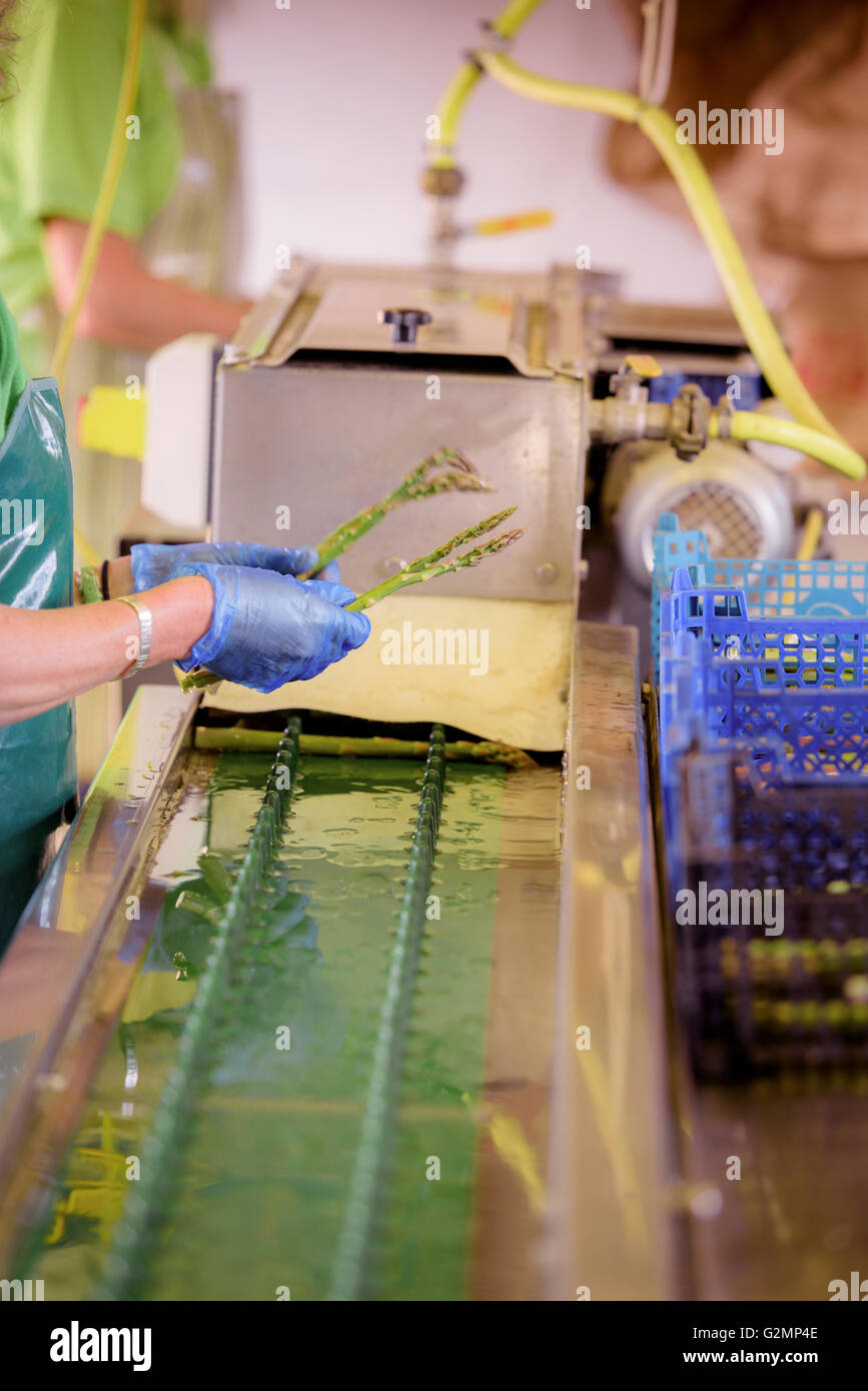 Season and graded hires stock photography and images Alamy