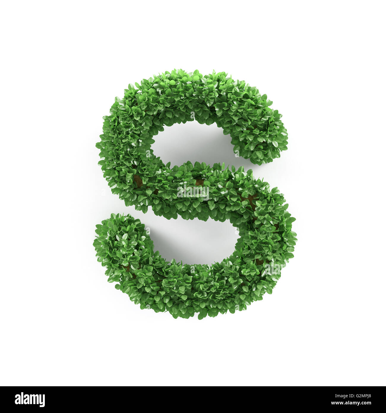 Green Letter S