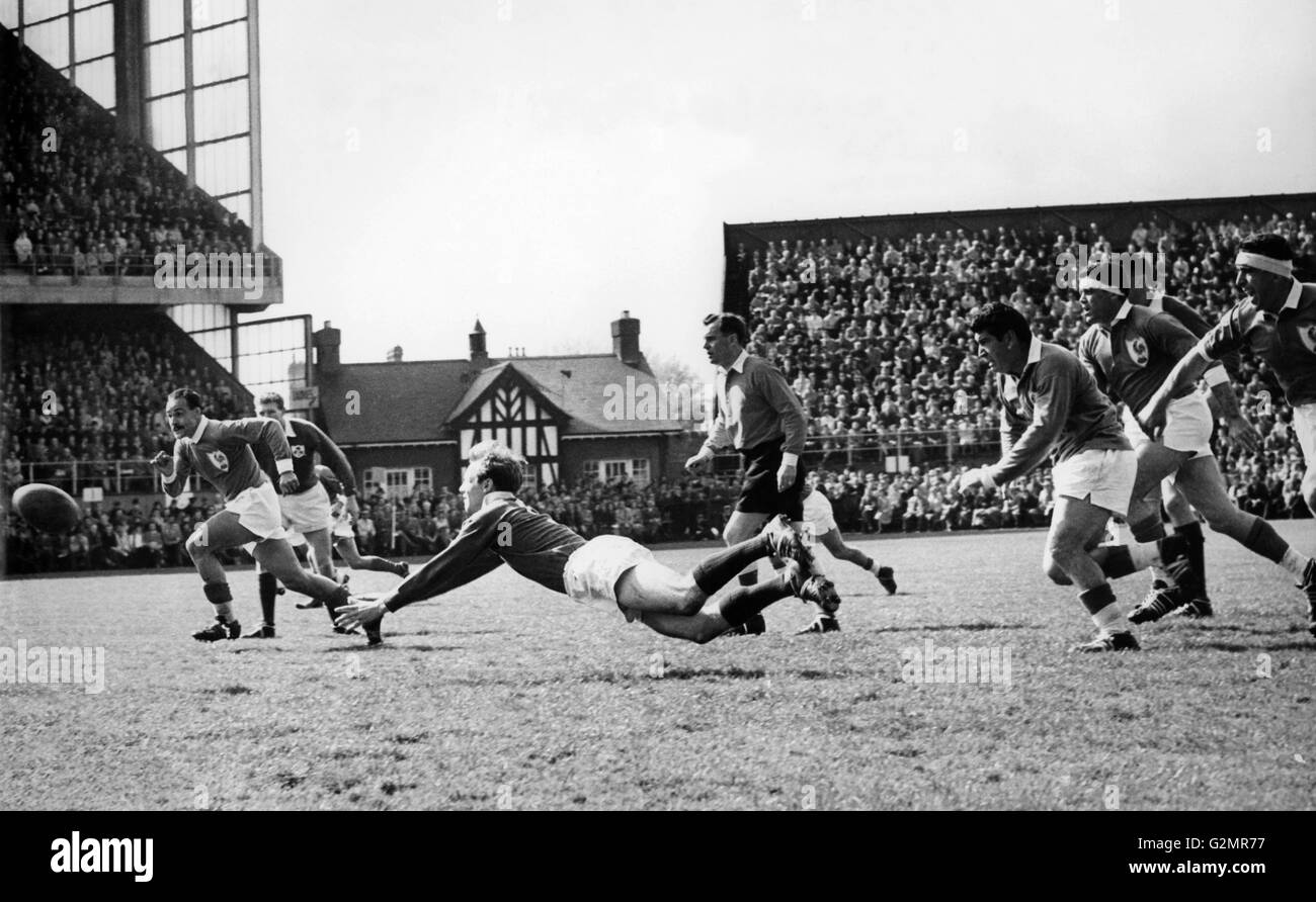 rugby match france Ireland,Dublin 1961 Stock Photo Alamy