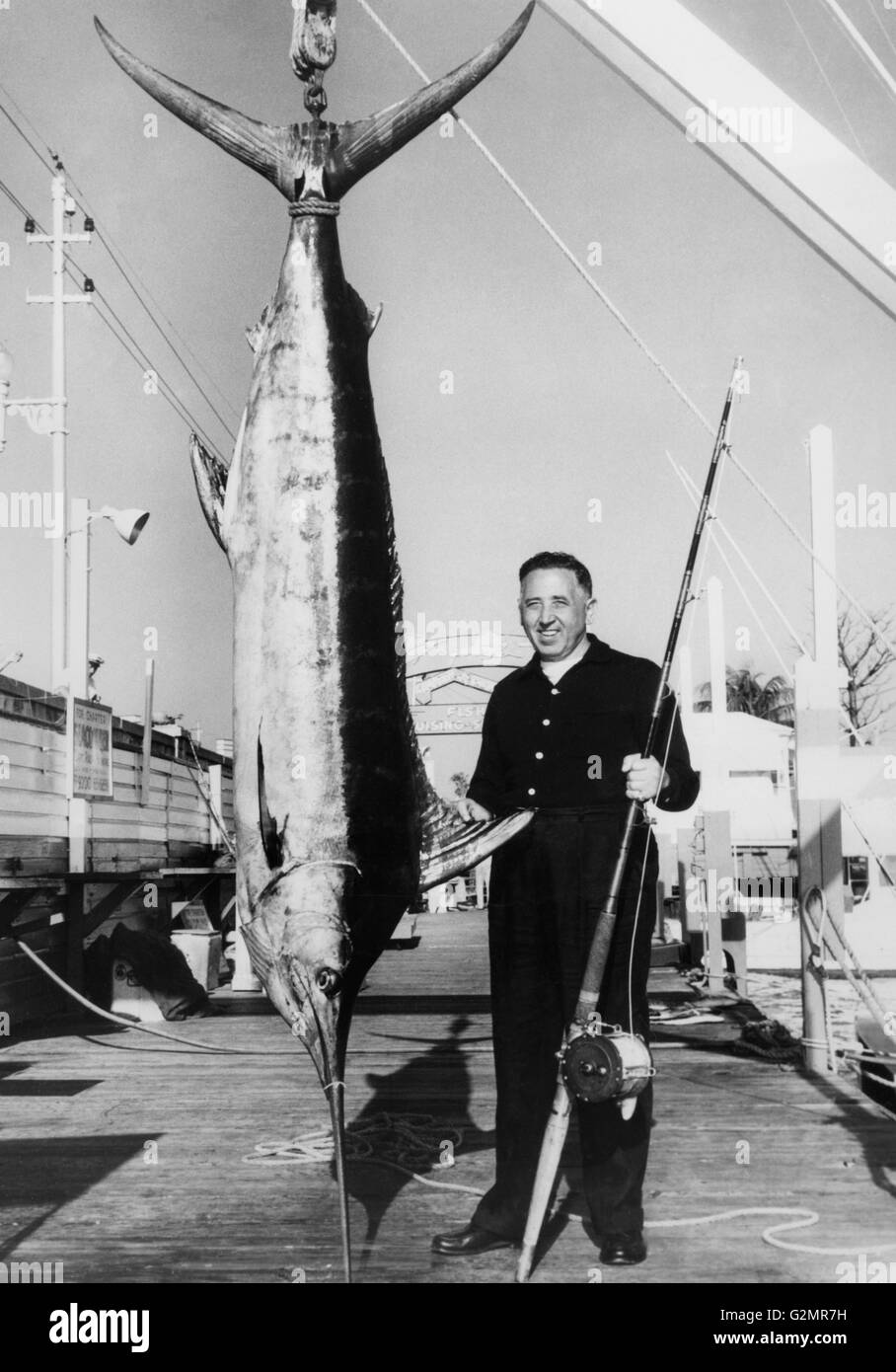 A blue marlin caught off miami beach hi-res stock photography and