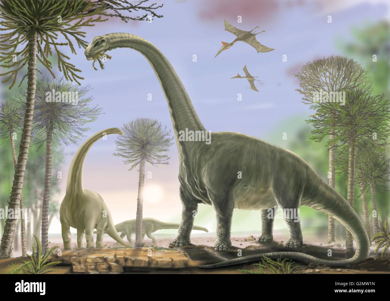 Titanosaur Argentinosaurus Scene (in full colour). Stock Photo