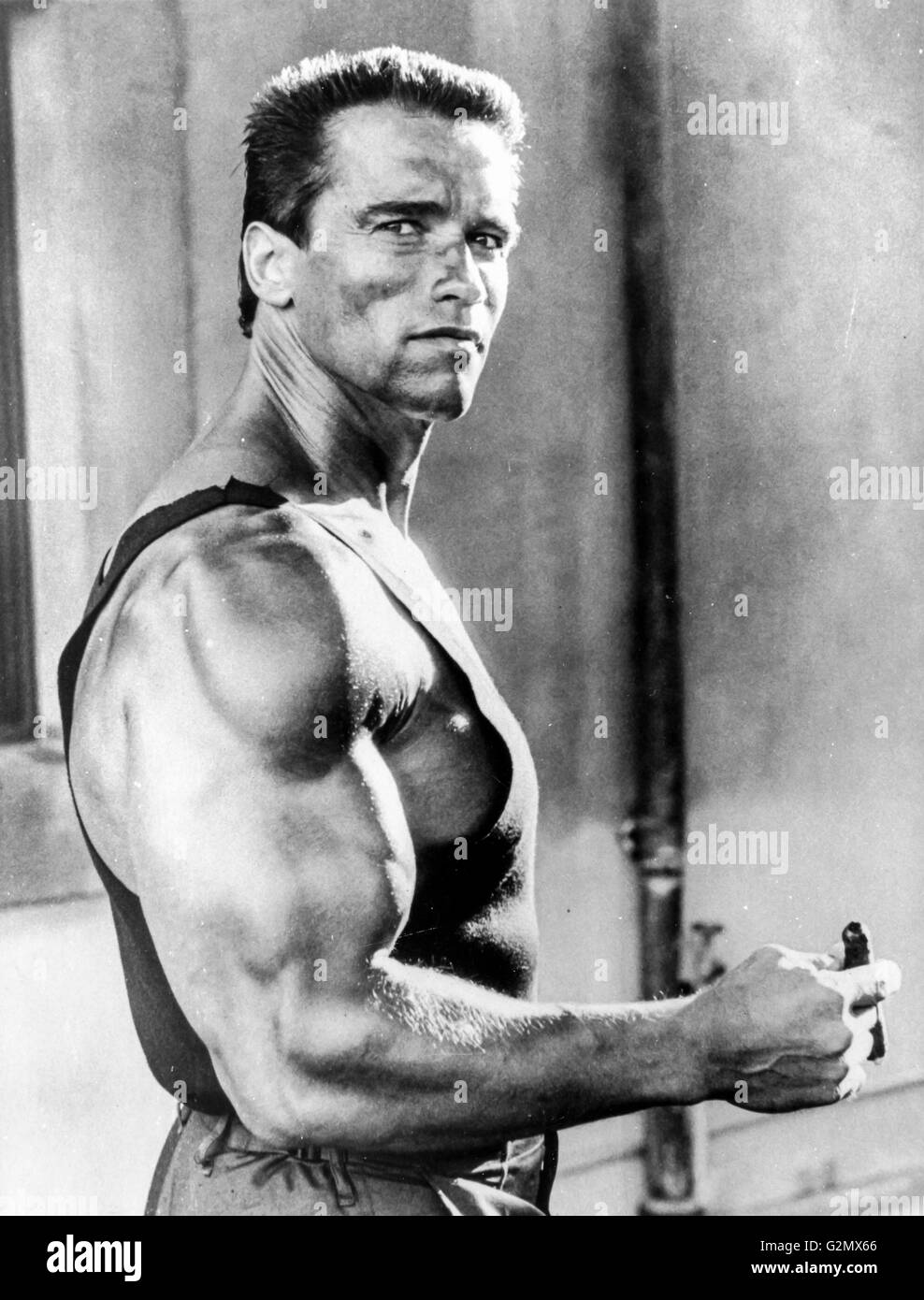 Arnold Schwarzenegger in commando,1985 Stock Photo - Alamy