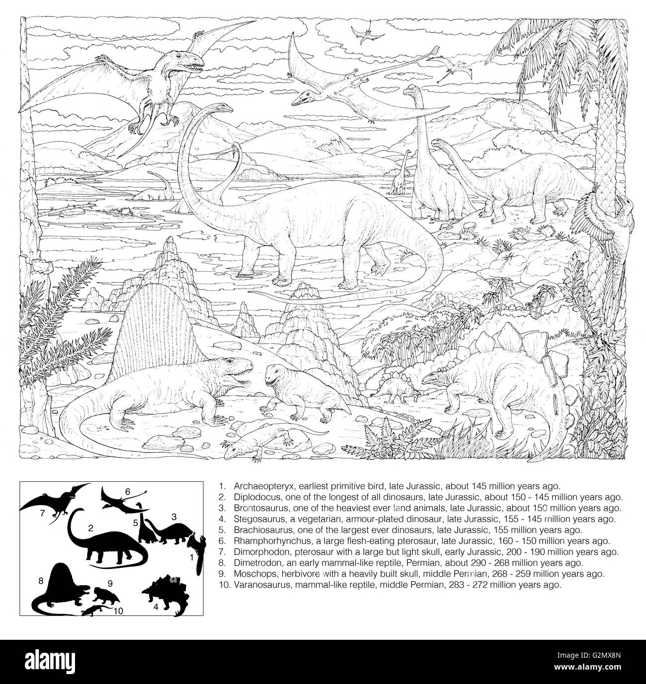 Prehistoric Animal Scene (black on white line drawing), with explanatory key. Stock Photo