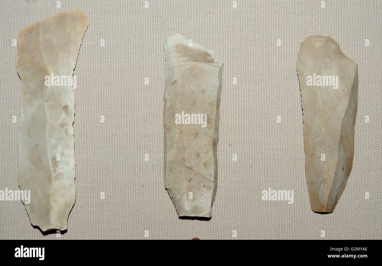Flint blades, Upper Palaeolithic, South India. Stock Photo