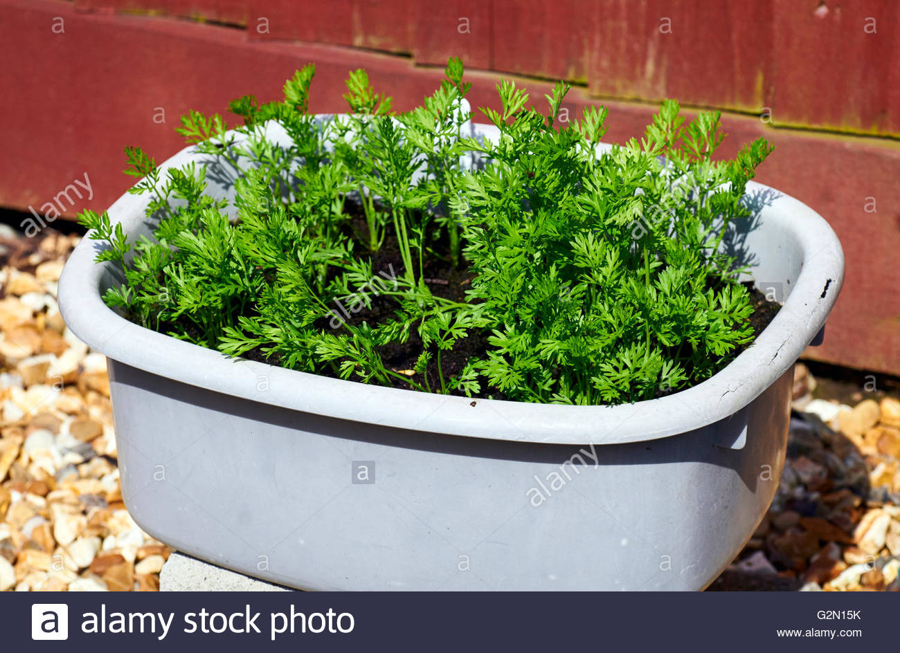 small plastic washing up bowl