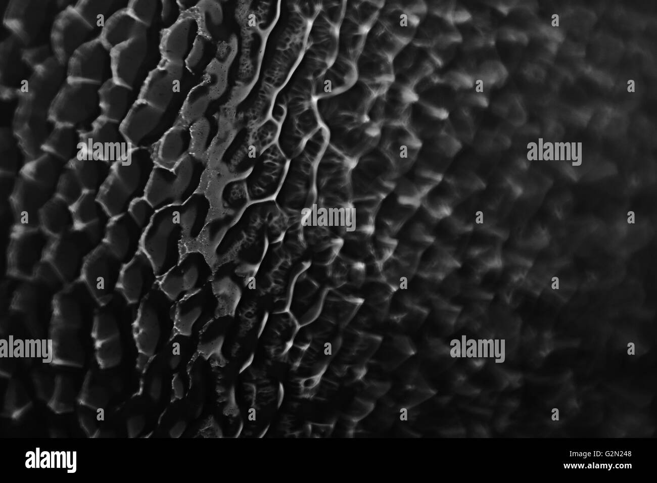 Illuminated stained glass window Black and White Stock Photos & Images ...