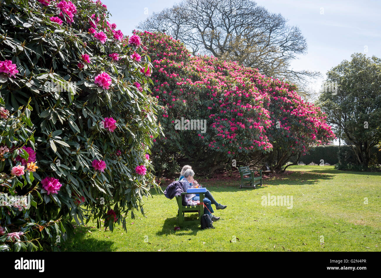 Relaxing with a snack on Flora's Green in Heligan gardens in Spring Stock Photo