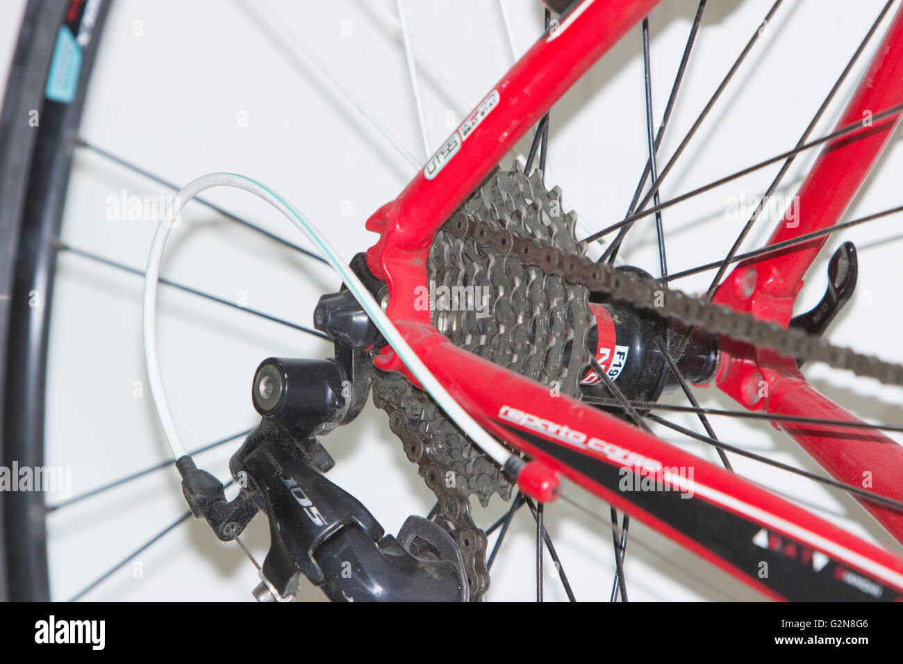 Bianchi the world's most stylish bike Red and white 20 geared 105 component  Alu Nirone road bike back sprocket gear chain bolt Stock Photo - Alamy