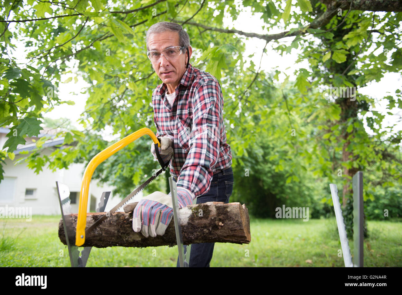 Man sawing log hi-res stock photography and images - Alamy
