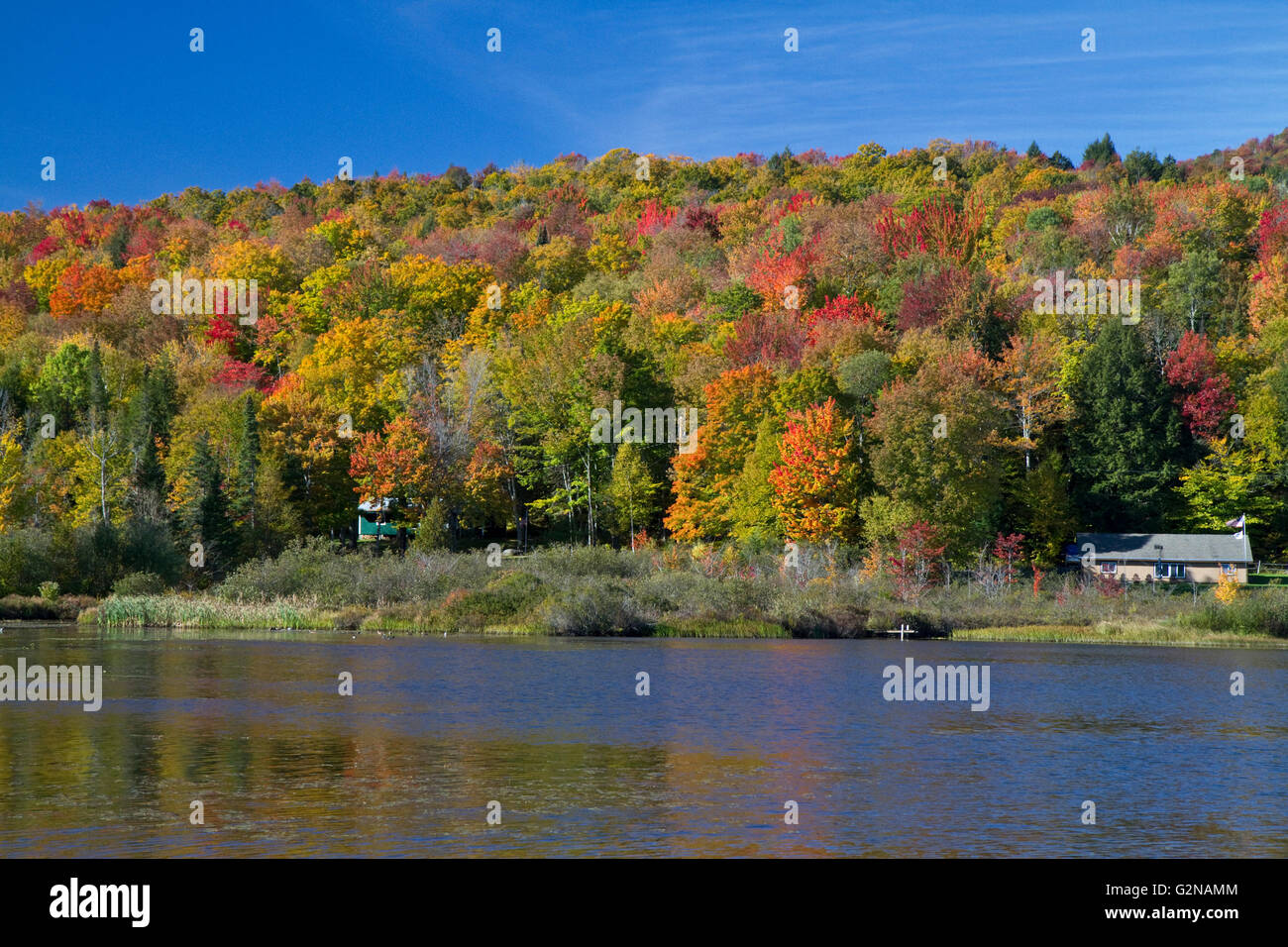 Fall foliage at Lake Elmore in Lamoille County, Vermont, USA. Stock Photo