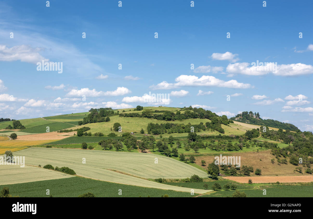 Summer landscape in the Hegau, Germany Stock Photo