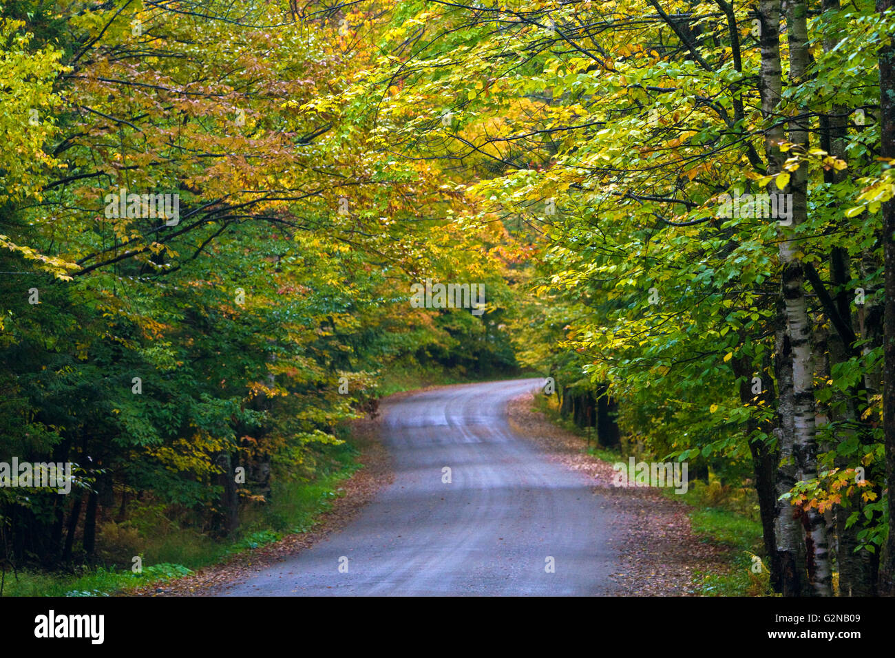 Fall foliage on a rural backroad near Stowe, Vermont, USA. Stock Photo