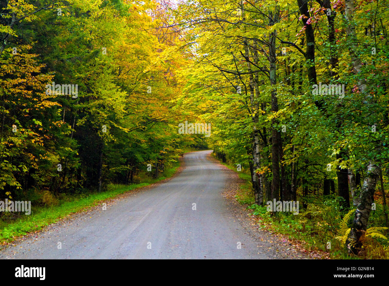 Fall foliage on a rural backroad near Stowe, Vermont, USA. Stock Photo