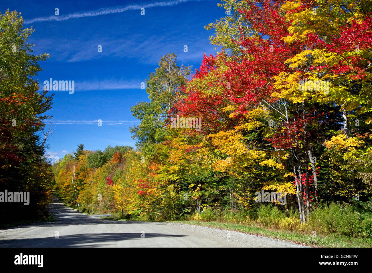 Fall foliage on a rural backroad north of Stowe, Vermont, USA. Stock Photo