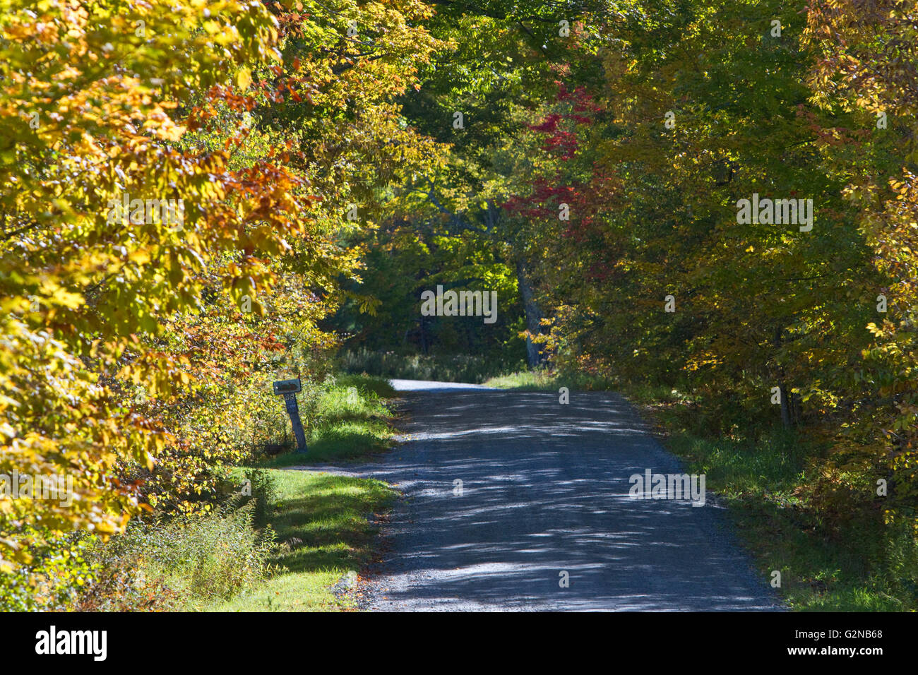 Fall foliage on a rural backroad near Lake Elmore in Lamoille County, Vermont, USA. Stock Photo