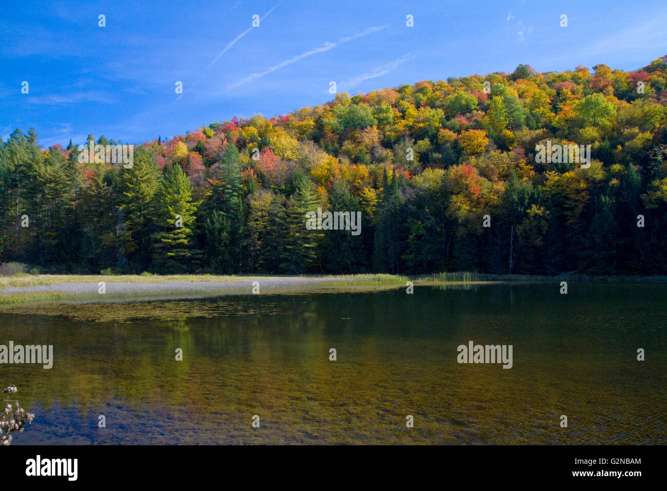 Fall foliage at Lake Elligo in Orleans County, Vermont, USA. Stock Photo