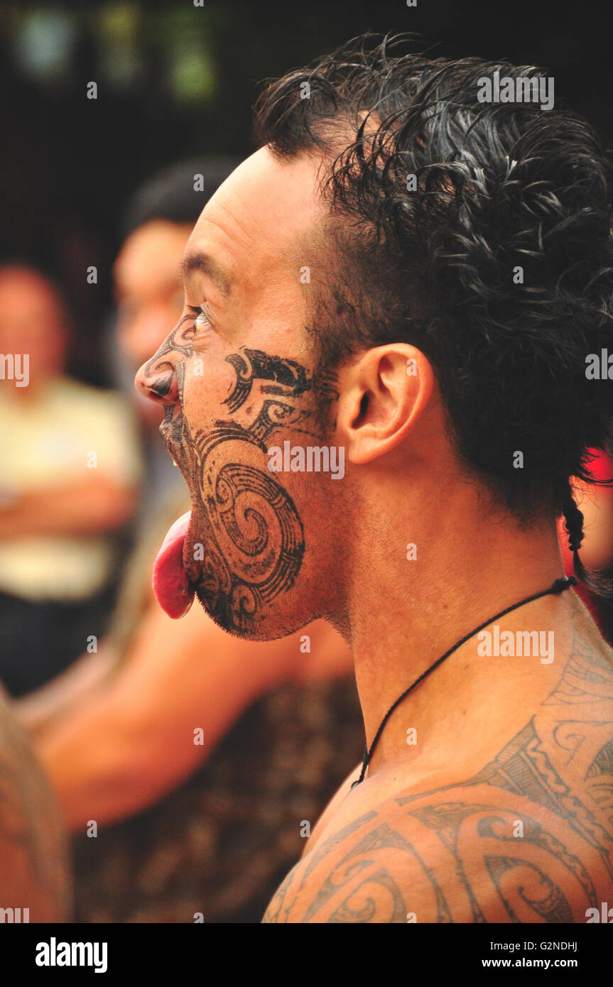 Tamaki maori cultural village in New Zealand Stock Photo