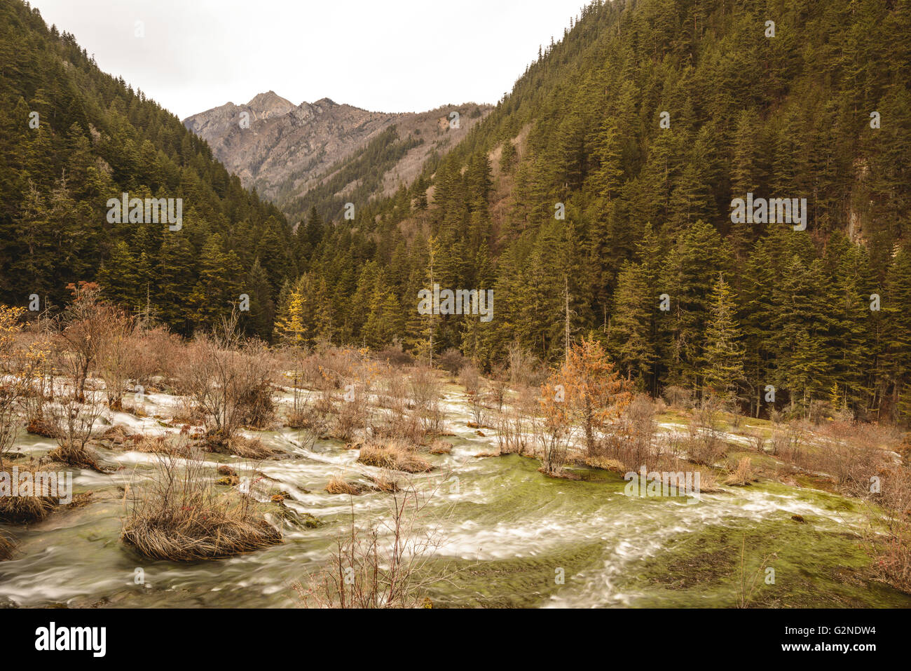 Pearl Shoals Waterfall in jiuzhaigou national park, China Stock Photo