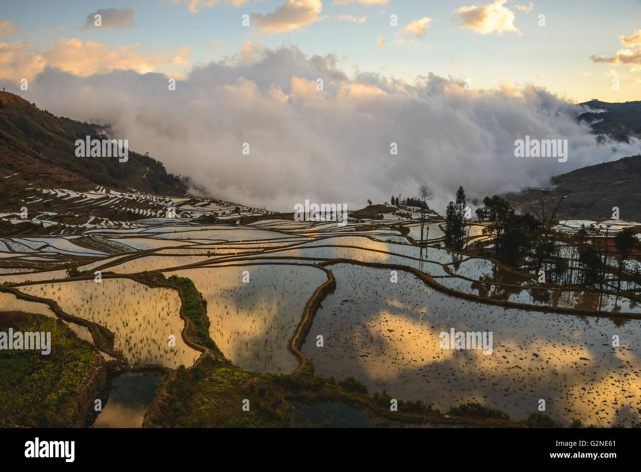 Duoyishu rice terraces at sunrise in Yuanyang, China Stock Photo