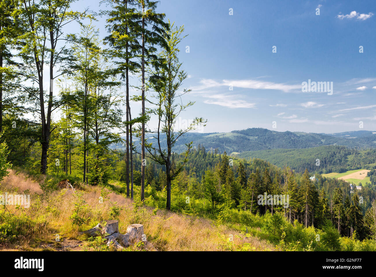 Green field mountains in hi-res stock photography and images - Alamy