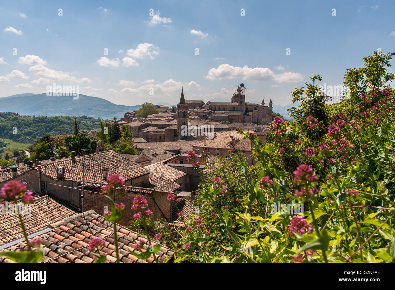 View medieval town urbino hi-res stock photography and images - Alamy