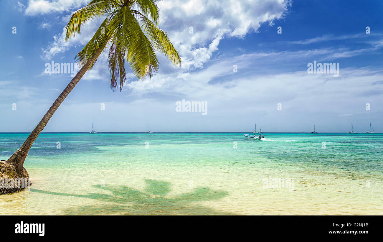 Tropical beach with palm tree and fisherman boat. Stock Photo