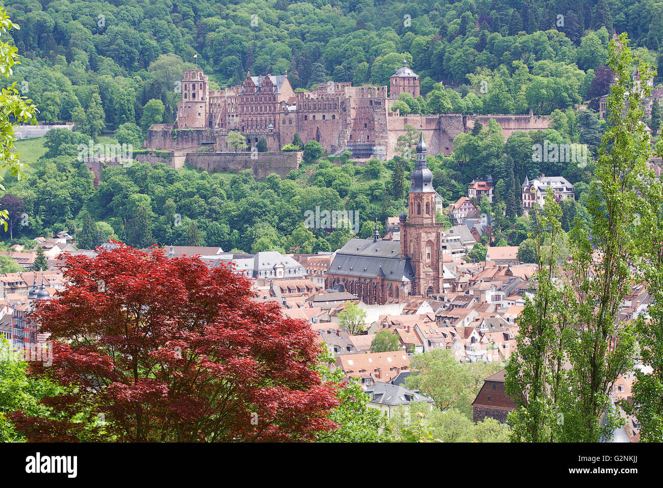 Heidelberg castle and town from the opposite bank of the river. Stock Photo