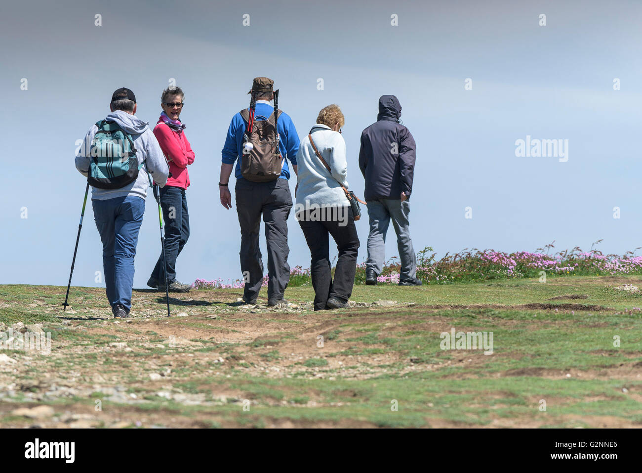 Sunny weather as a group of walkers enjoy a stroll on East Pentire Headland in Newquay, Cornwall. Stock Photo