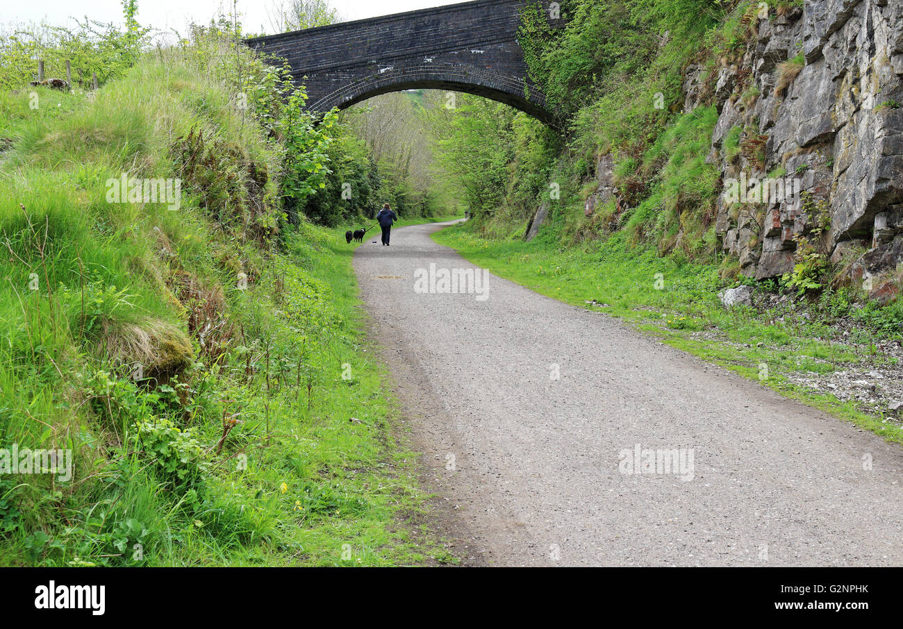 Dog walker walking under a bridge on the Monsal Trail in Derbyshire Stock Photo
