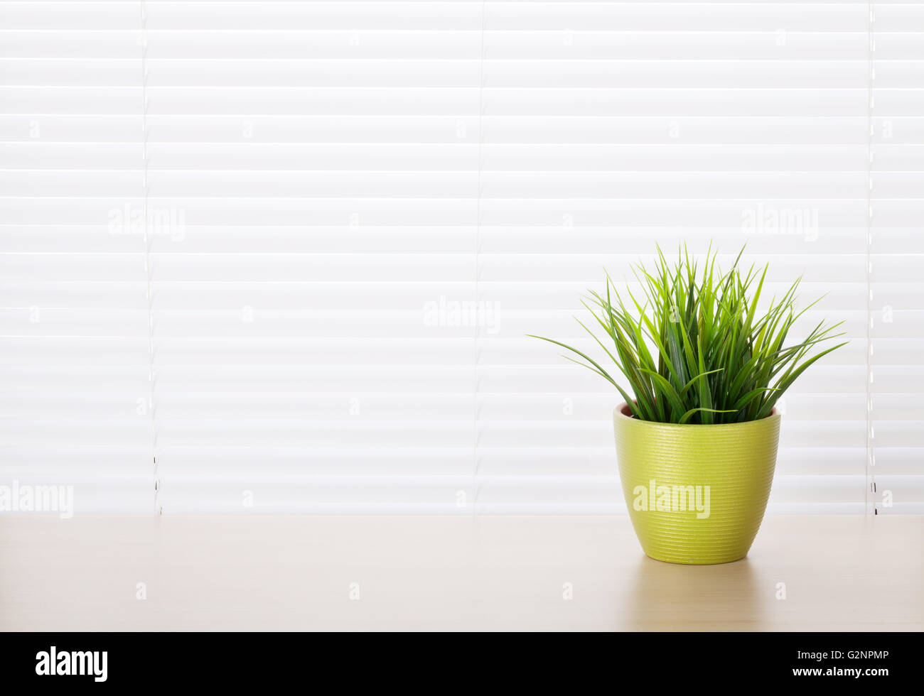 Office workplace with potted plant on wood desk table in front of window with blinds Stock Photo