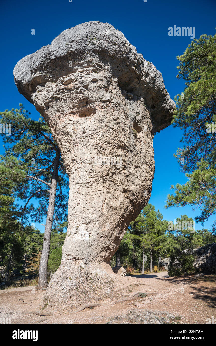Eroded limestone outcrops in La Ciudad Encantada,  The enchanted City, Park, Serrania de Cuenca, Castilla-la Mancha, Spain Stock Photo