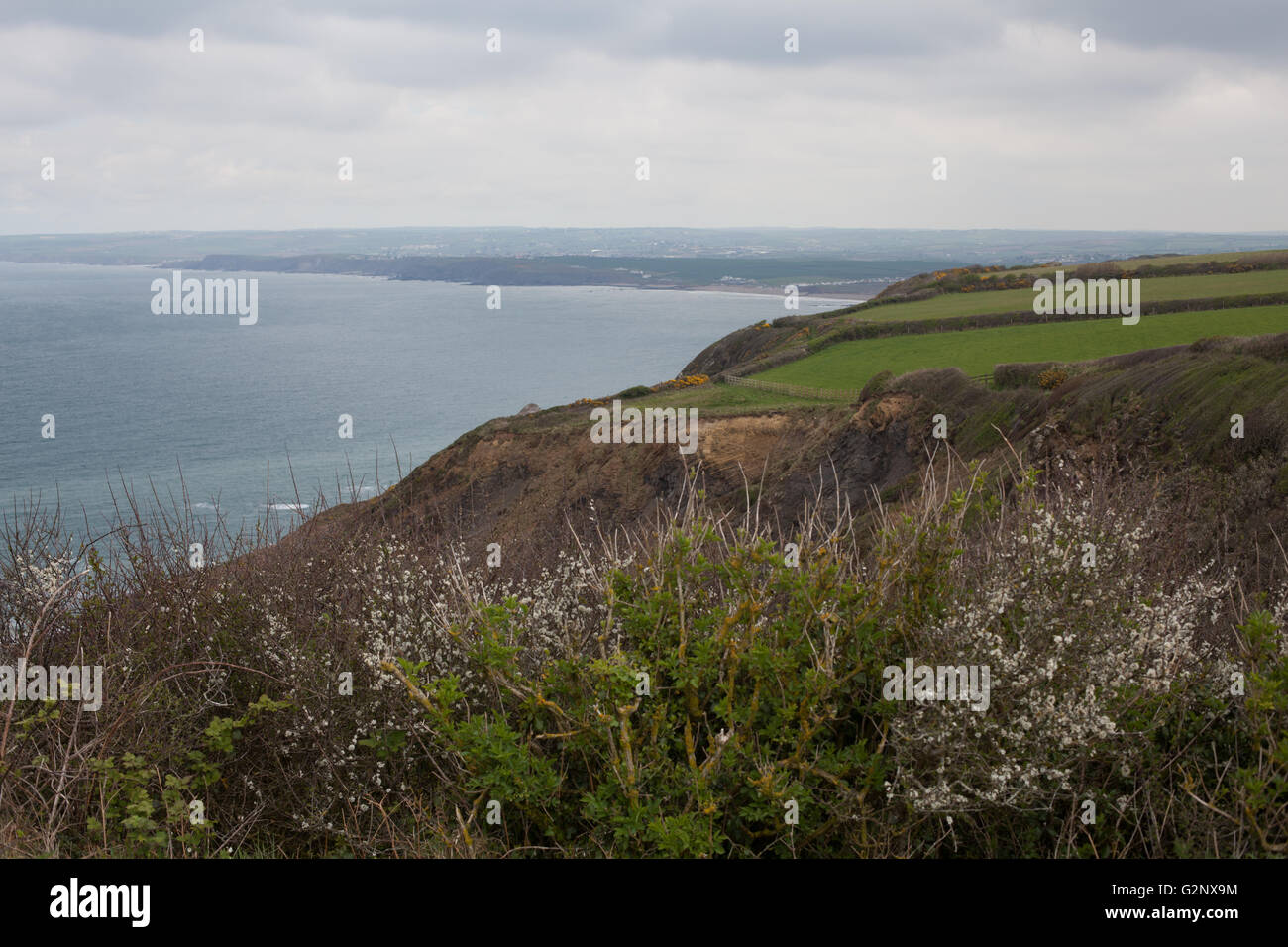 Cornish cliff hires stock photography and images Alamy