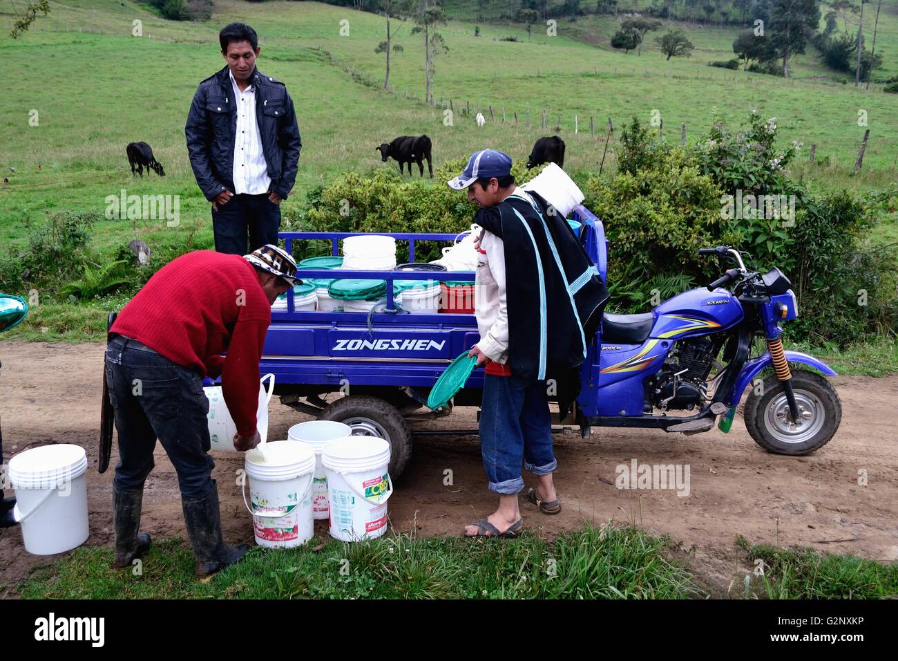 Transporting milk in Pulun ' Las Huaringas '  - HUANCABAMBA.. Department  of Piura .PERU Stock Photo