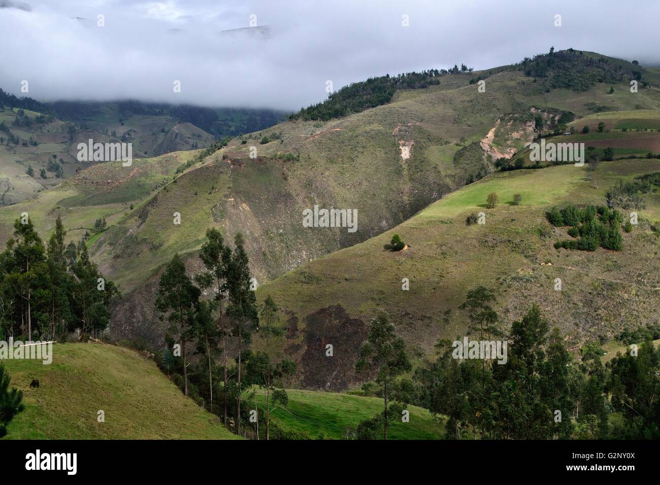 Landscape in Pulun ' Las Huaringas '  - HUANCABAMBA.. Department  of Piura .PERU Stock Photo