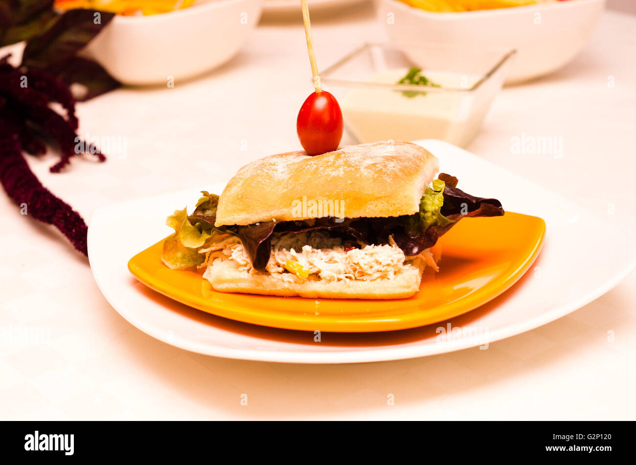 Delicious ciabatta sandwich with skewered cherry tomato top, sitting on  white plate, catering concept Stock Photo - Alamy