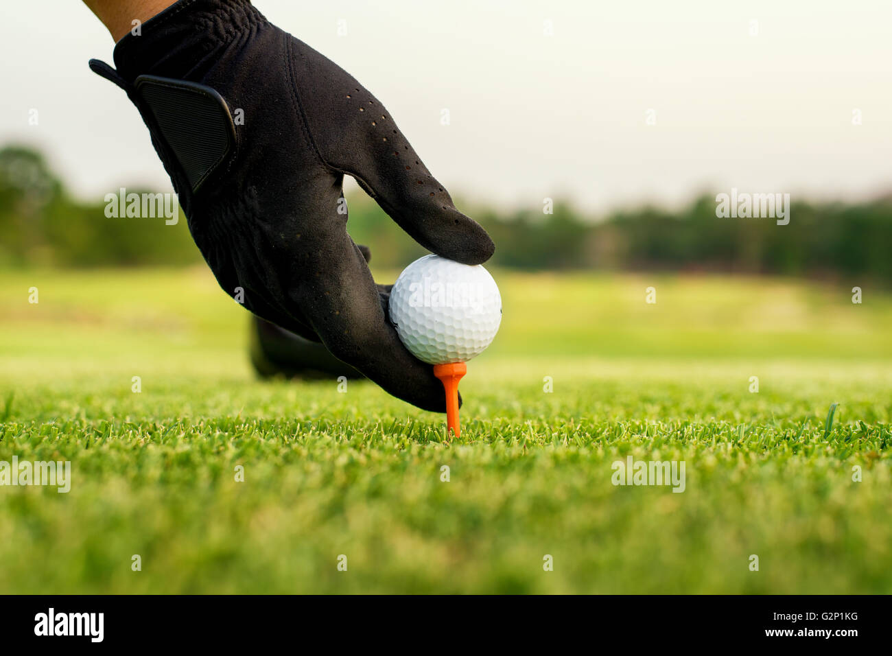 Hand hold golf ball with tee on course, close-up Stock Photo