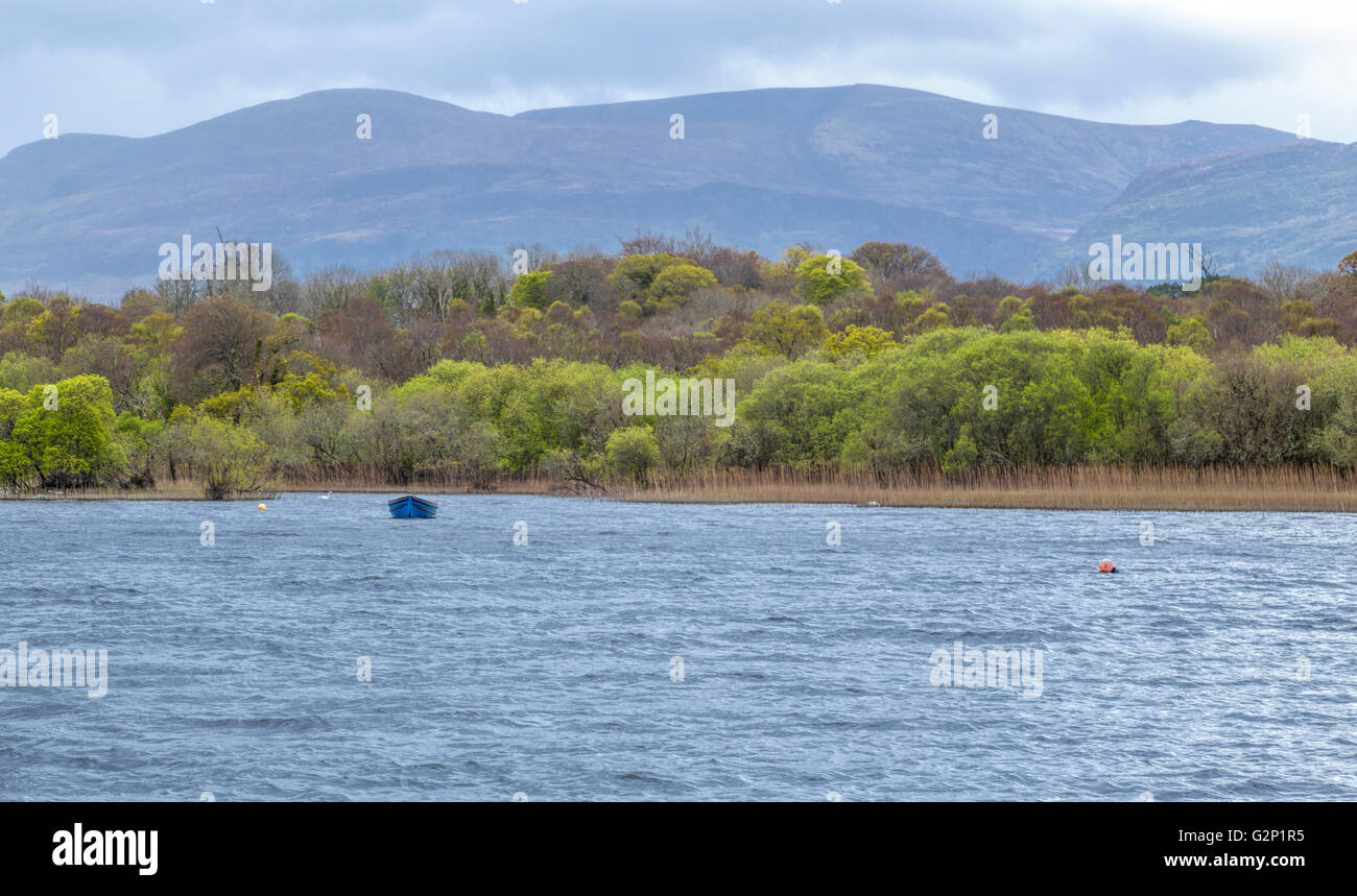 Blue boat on Lough Leane in Killarney National Park near the town of Killarney, with oak and yew woodlands and mountain peaks. Stock Photo