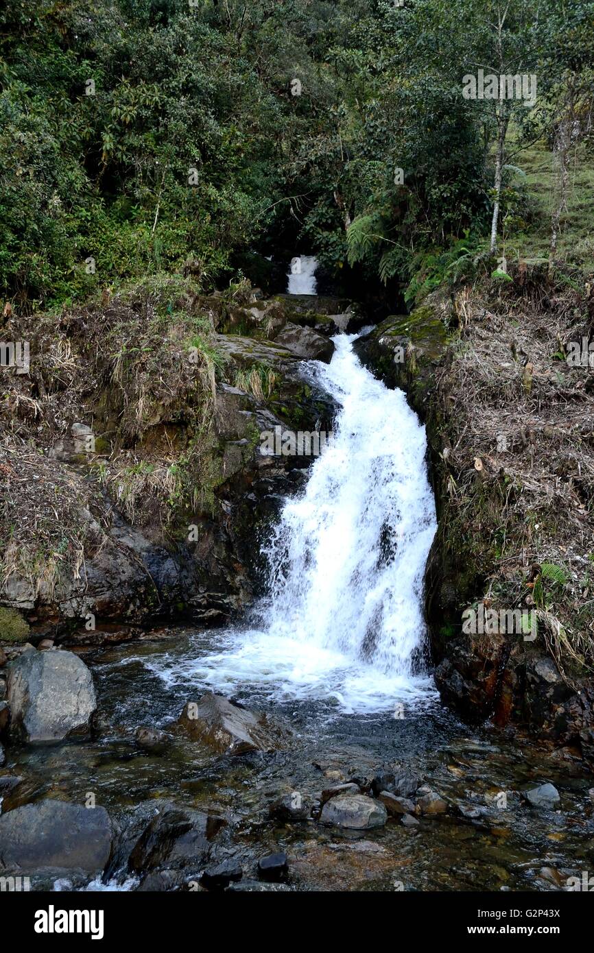 Waterfall ' Chorro Blanco ' in Sapalache ' Las Huaringas '  - HUANCABAMBA.. Department  of Piura .PERU Stock Photo