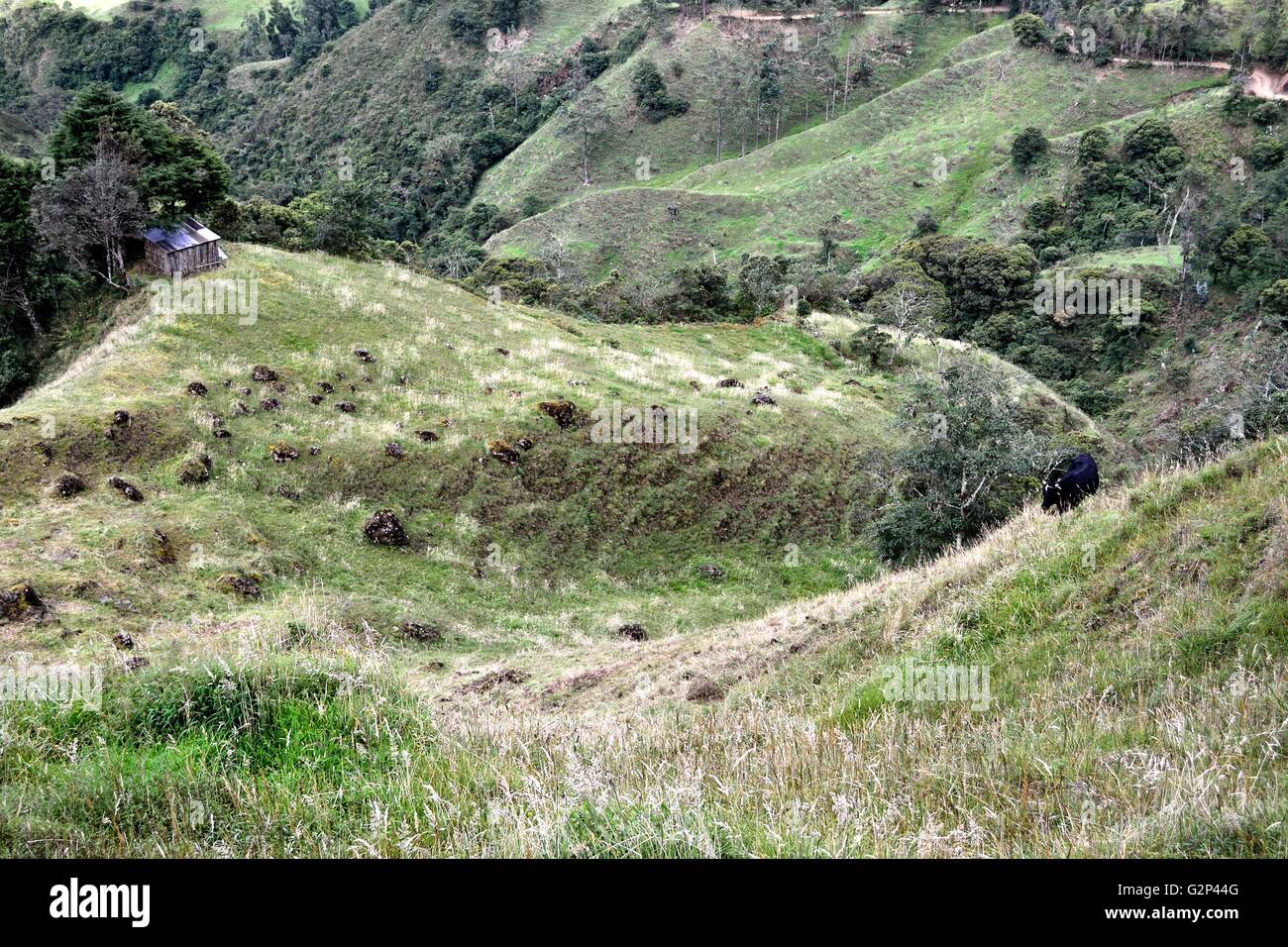 Landscape in Sapalache ' Las Huaringas '  - HUANCABAMBA.. Department  of Piura .PERU Stock Photo