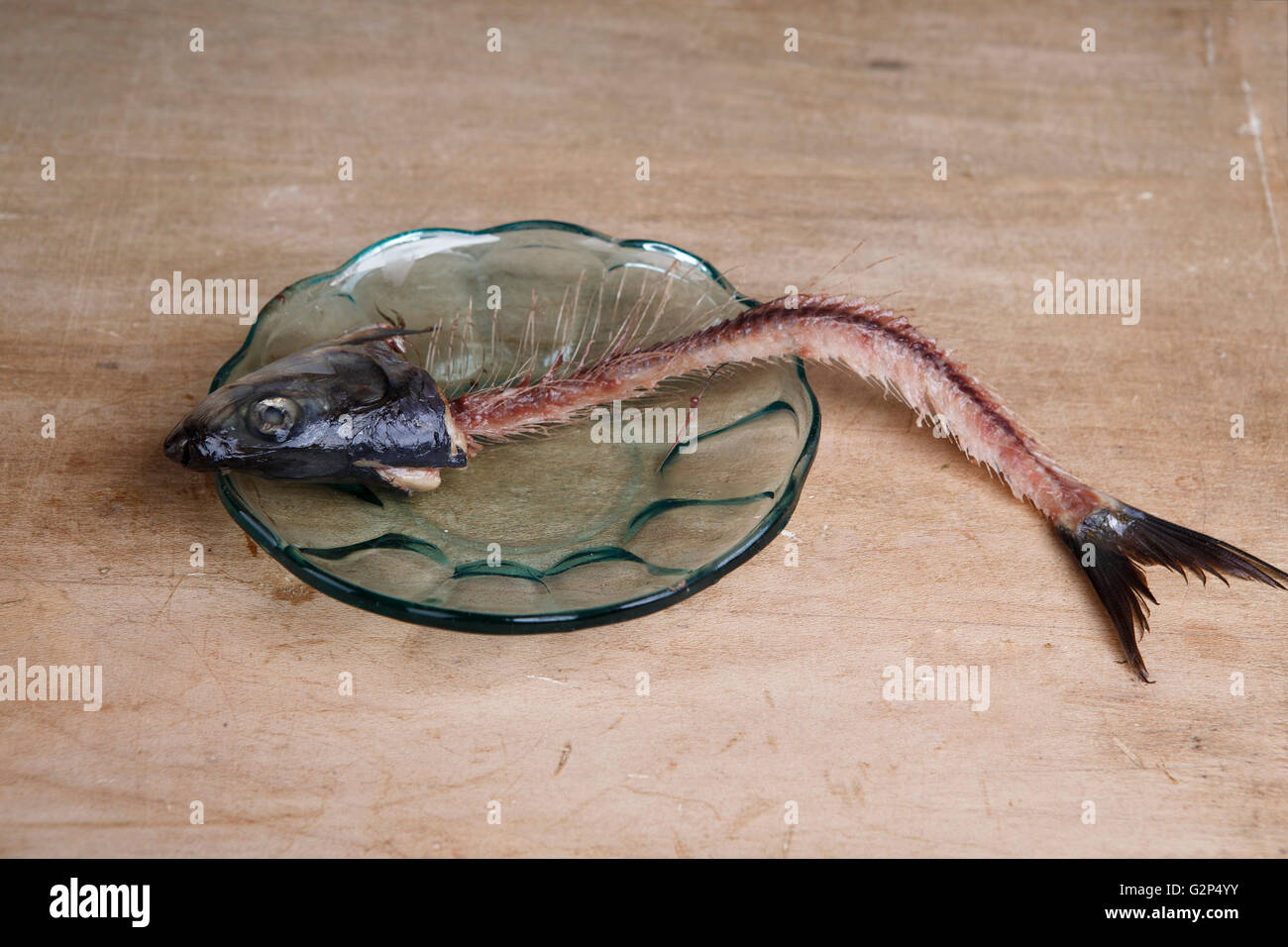 Skeleton of an eaten Herring on glass plate Stock Photo