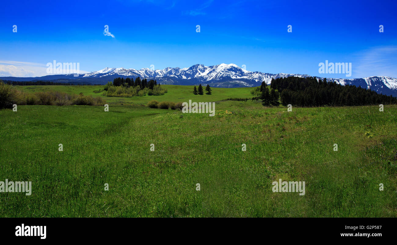 Beautiful and vivid mountain landscape with mountain peak and large field. Stock Photo