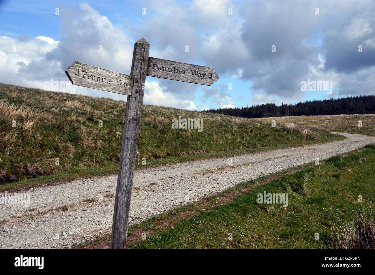 Wooden Signpost at Path Junction on the Pennine Way in Upper Ribblesdale in the Yorkshire Dales, England UK. Stock Photo