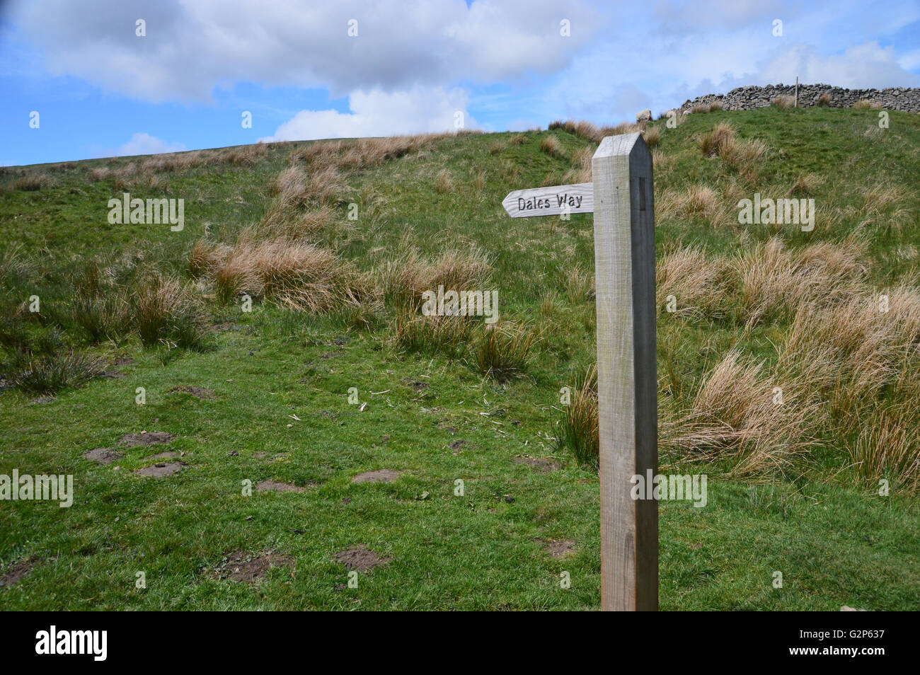 Wooden Signpost at Cam Pasture on the Yorkshire Dales Way Long Distance Footpath, England UK Stock Photo