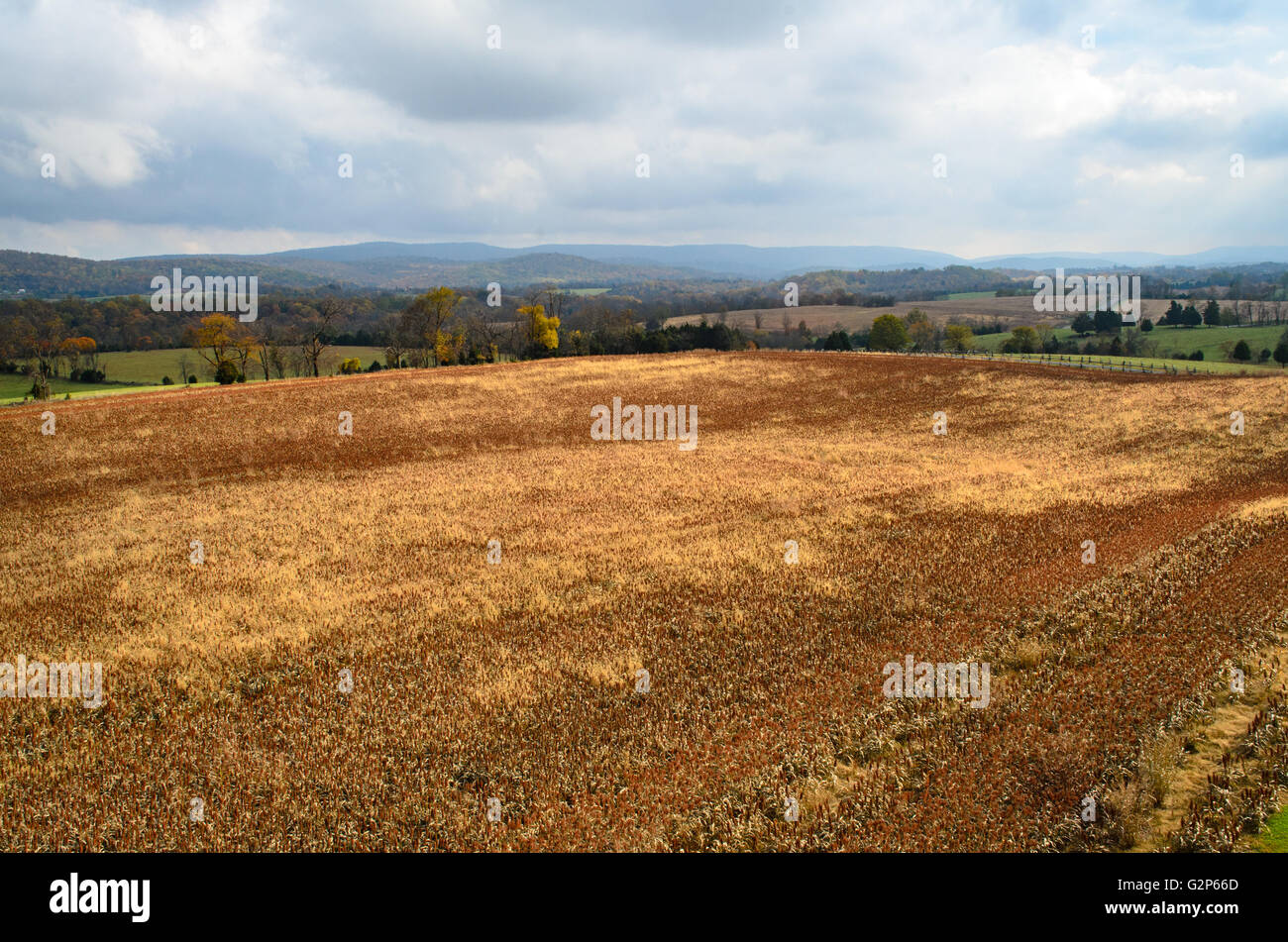 Antietam National Battlefield Stock Photo