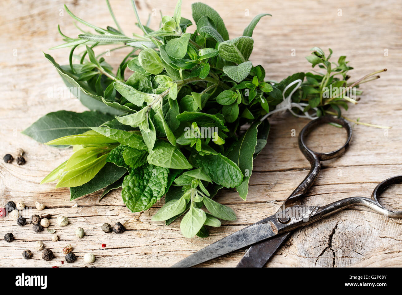 Thyme, Sage and Rosemary with Laurel bundled with cotton string and old rusty scissor on wooden board Stock Photo
